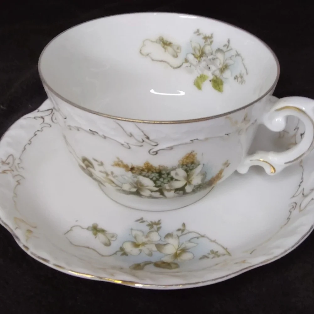 BEAUTIFUL Imperial Crown China PS Bavaria Tea Cup And Saucer (1930-1940)